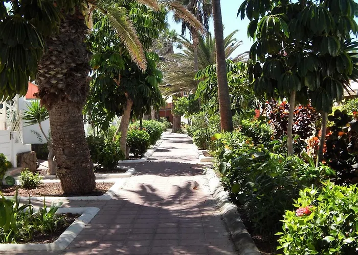 Apartament Beautiful Beachfront Playa de las Americas (Tenerife)