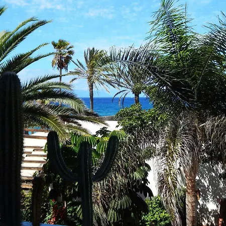 Beautiful Beachfront Lejlighed *